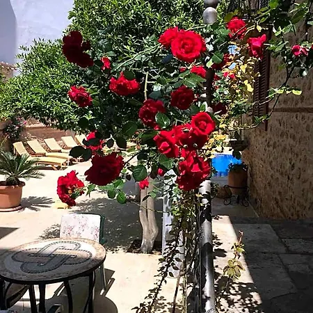 Hotel White Garden Hotel-adult Only
