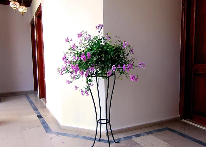 Otel White Garden Hotel-adult Only 3*