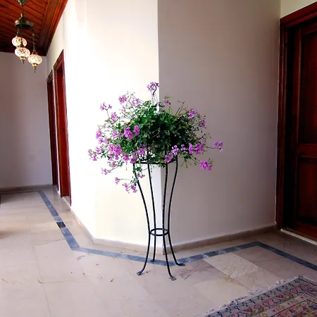 Отель White Garden Hotel-adult Only 3*